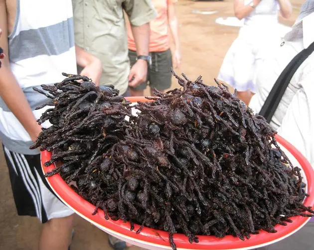 Gross Food Tarantula Platter