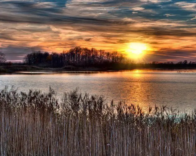 Bombay Hook Wildlife Reserve