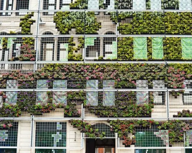 Green Wall
