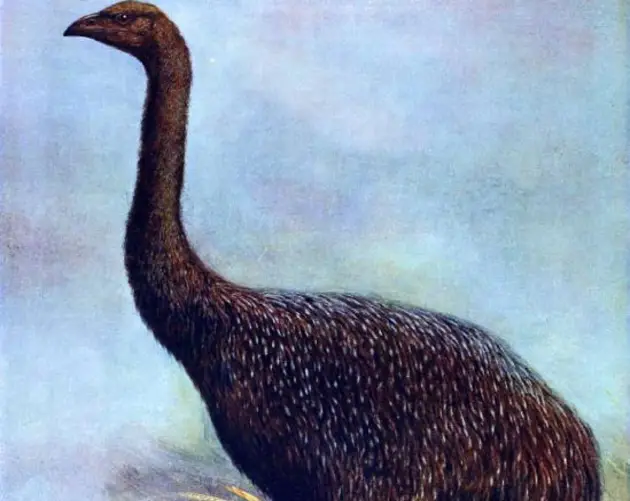 De-Extinction Moa