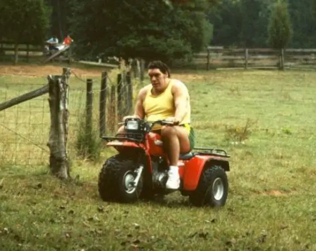 Driving A Dune Buggy