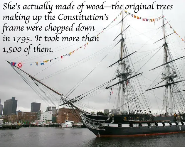 Constitution In Harbor