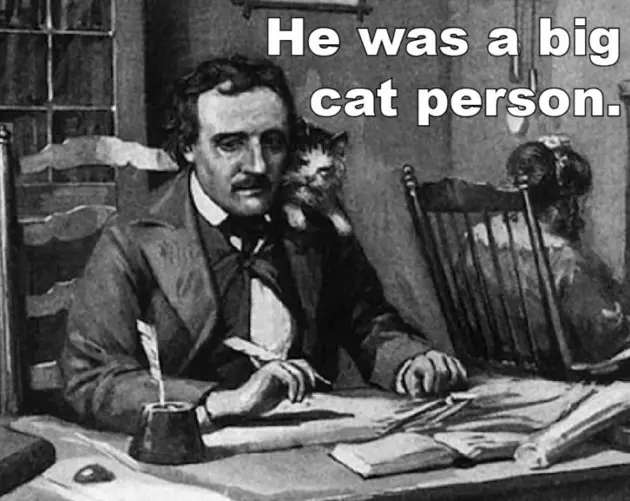 Poe Facts Cat Person