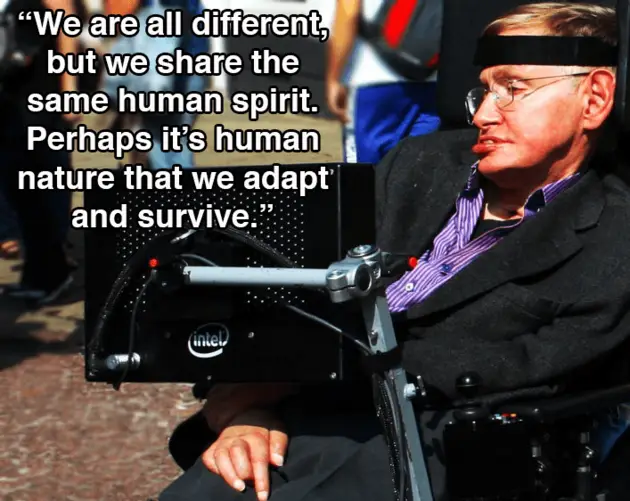 Hawking In Profile