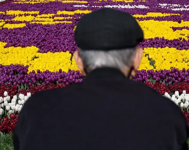 Man Tulips