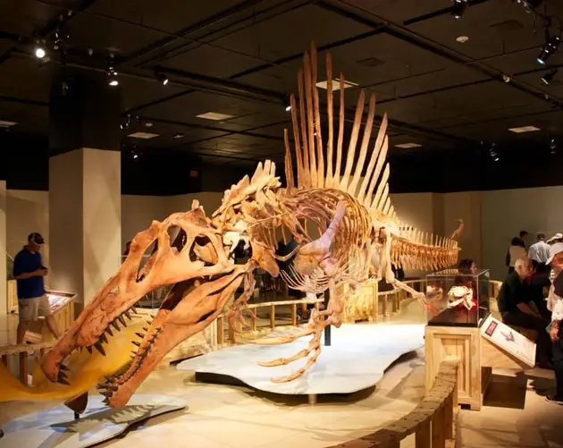 Spinosaurus