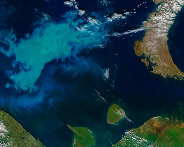Barents Sea