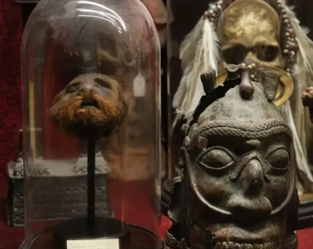 Shrunken Head