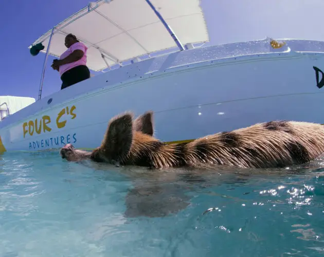 Bahamas Tour Boat