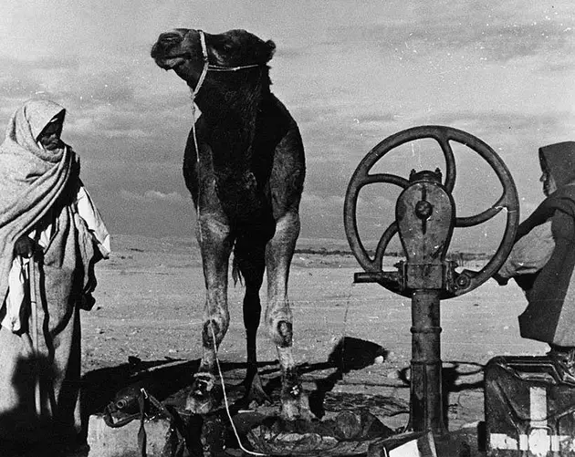 Bedouin