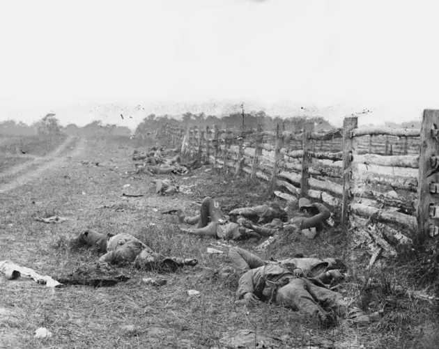 Bodies At Antietam During The Civil War