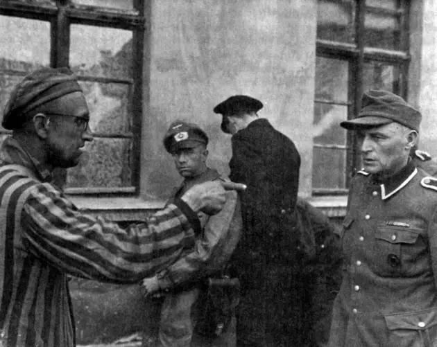 Finger Pointing Holocaust Photos