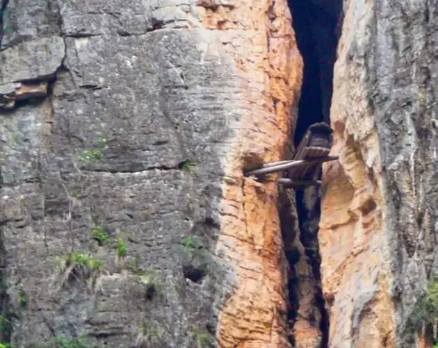 Coffin Hanging Mountain