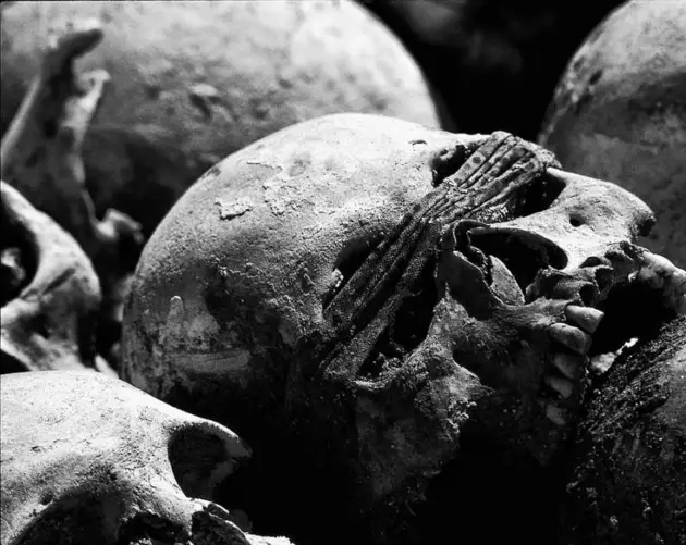 Killing Fields Skull