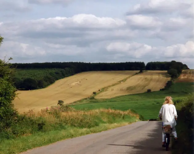 Alton Barnes Crop Circle
