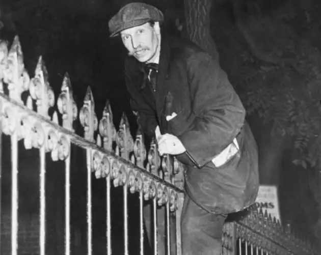 Collyer Brothers Climbing Fence