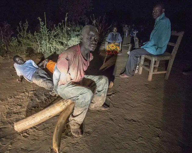 Ivory Poachers