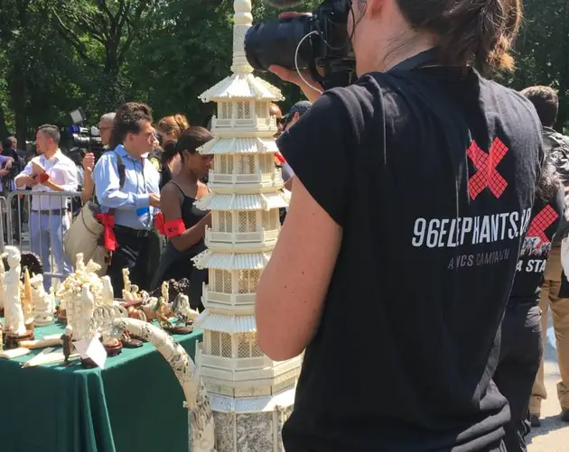 New York City Ivory Crush