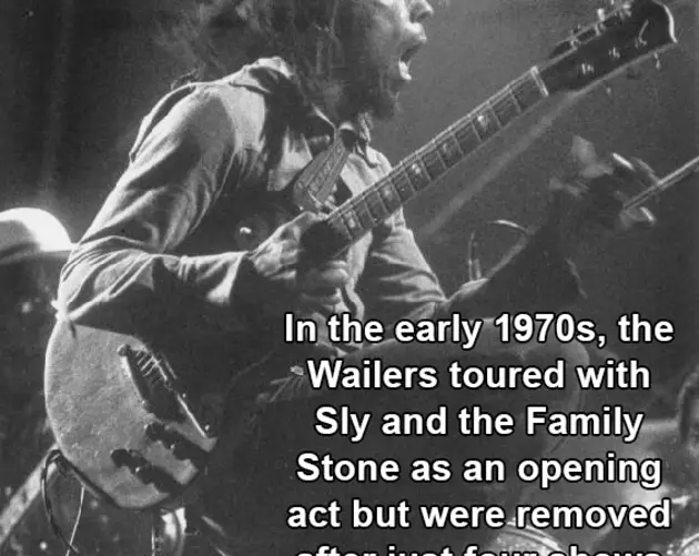 Marley Holding Guitar