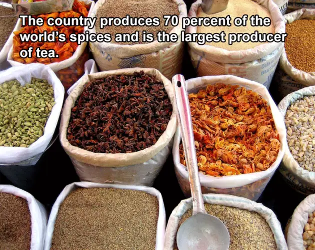 Interesting India Facts Spices