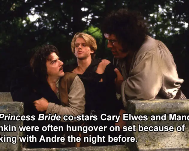 The Princess Bride