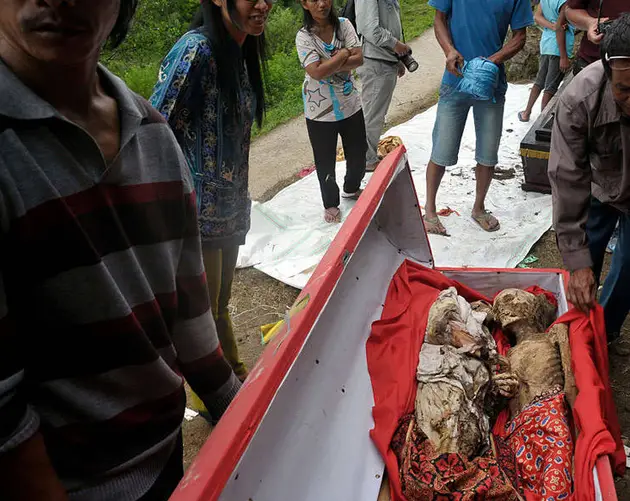 Toraja Baby Corpse