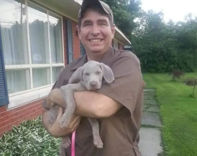 UPS Dogs Puppy In Man's Arms