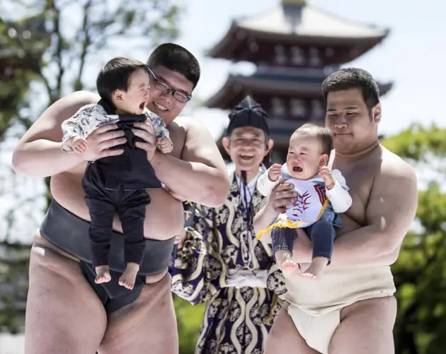 Crying Babies Naki Sumo