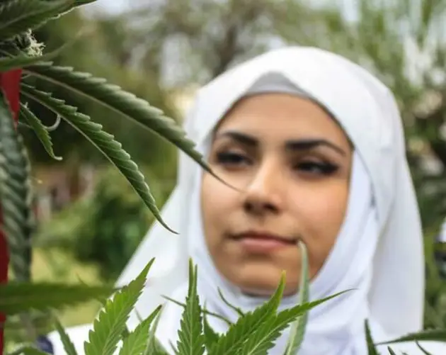 Sister Of The Valley Tends To Weed