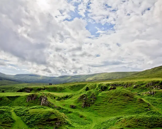 Scottish Green Glen