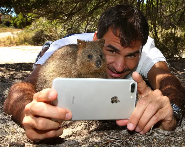 Roger Federer Quokka Selfie
