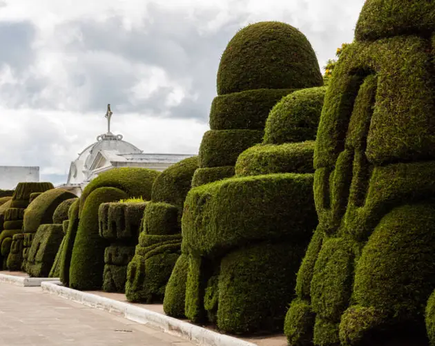 Ecuador Topiary Garden