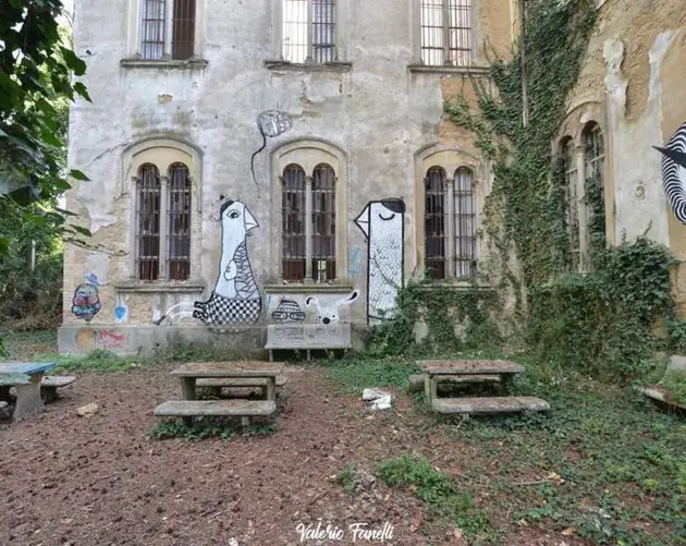 Asylum Yard