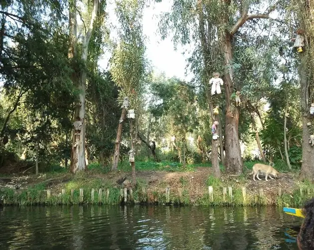 La Isla De Las Muñecas Canal