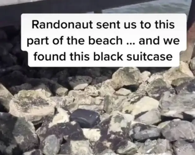 Tiktok Teens Finding Suitcase
