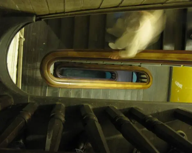 Main Stairwell Of Asylum