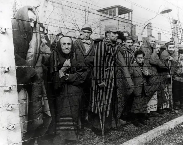 Auschwitz Prisoners Behind Barbed Wire