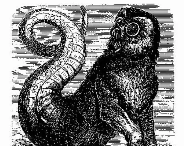 Aamon Demon