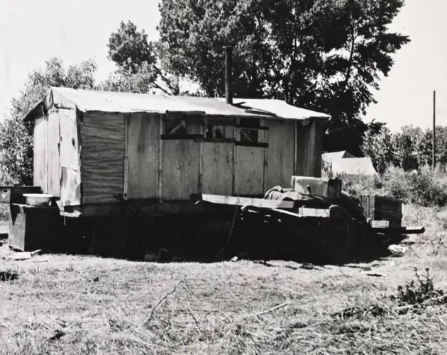 Flimsy Shack