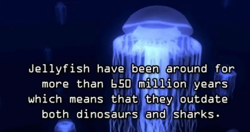 Ten Amazing Facts About Ocean Animals