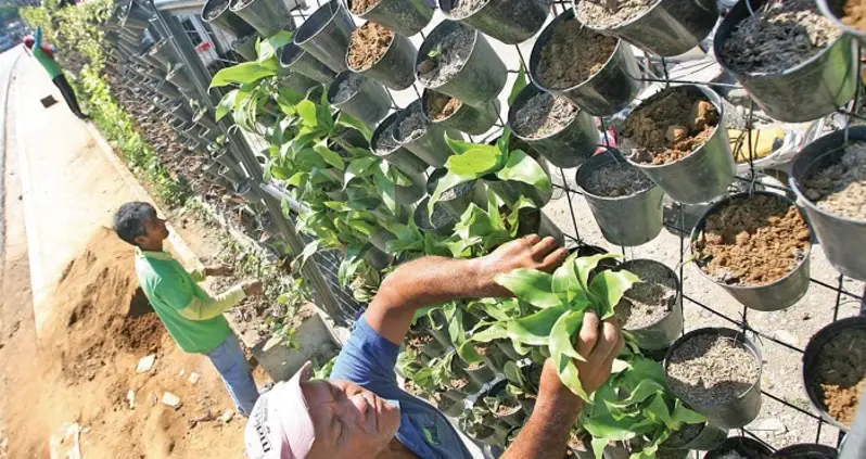 Vertical Gardens, An “Up” And Coming Green Trend