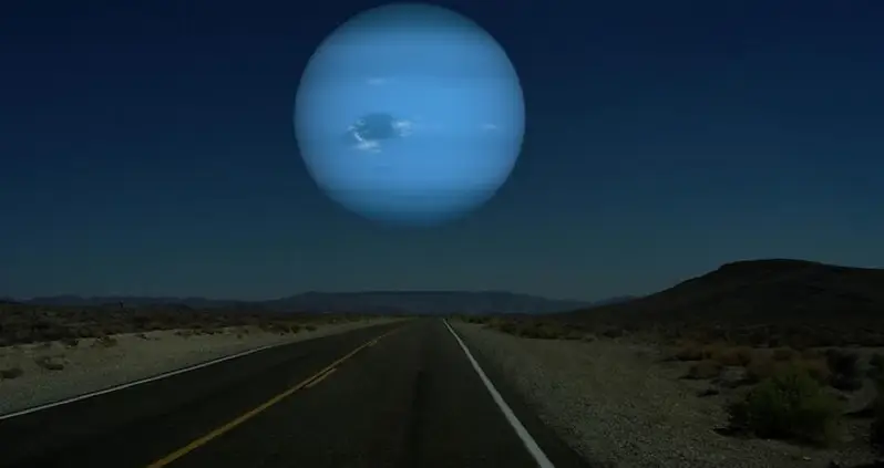 What We Love This Week, Volume VII