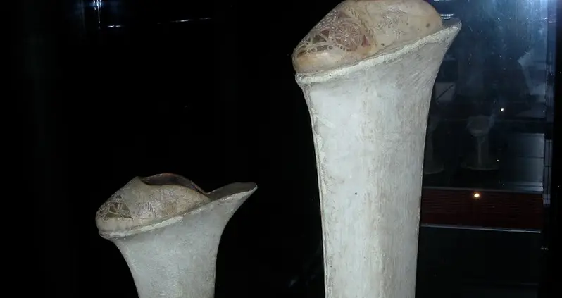 Women’s Fashion And Its Incredibly Cruel History