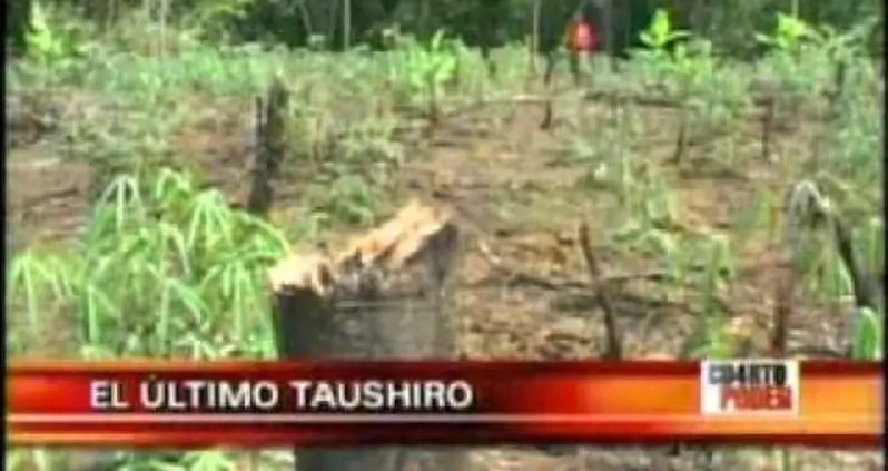 The Most Unique Languages In The World