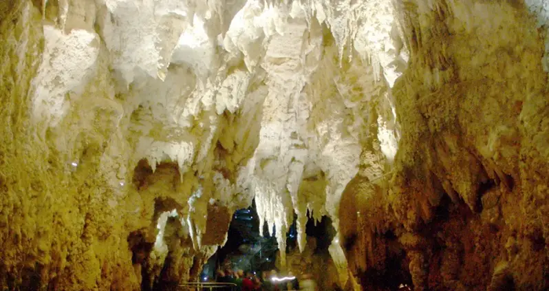 New Zealand’s Iridescent Caves