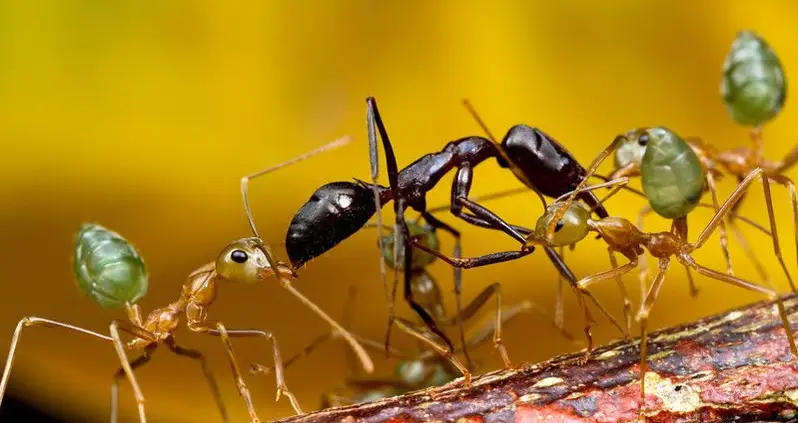 What We Love This Week, Volume XXV