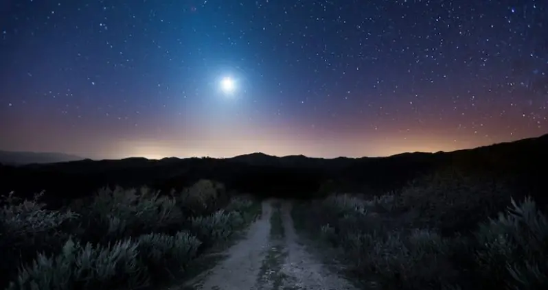 What We Love This Week, Volume XXVIII