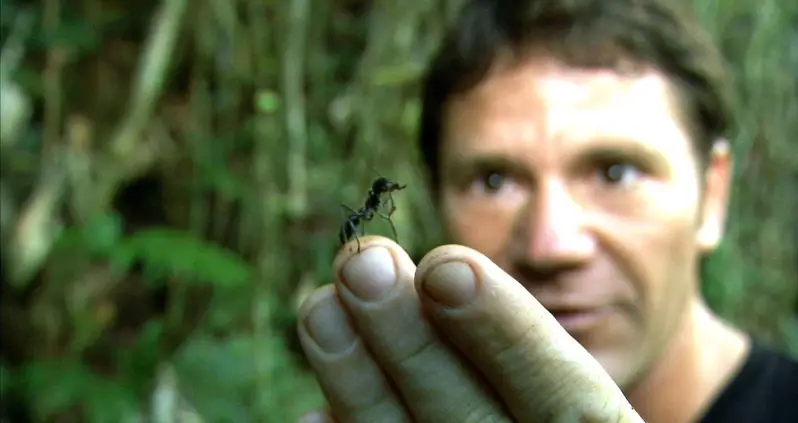 5 Creepy Insects That Transfix Horror Movie Makers