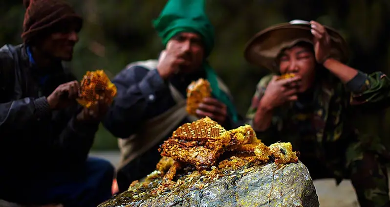 Gurung Honey Hunters: Preserving The World’s Greatest Traditions