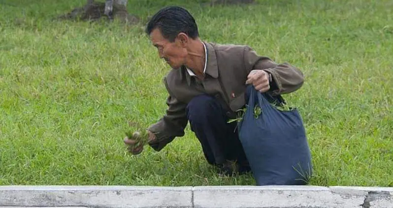 55 Rare Photographs Of Life In North Korea